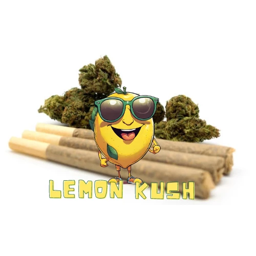 PRÉ ROLLS CBD LEMON KUSH 2+1 OFFERT