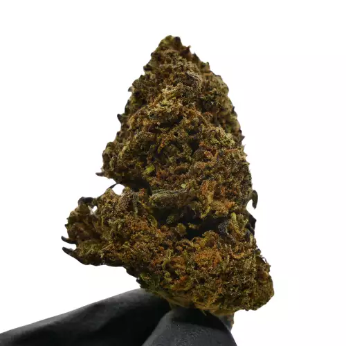 GORILLA KUSH - À PARTIR DE 3€ LE GR - 12% CBD