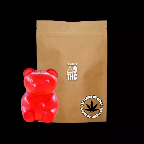 GUMMIES CBD + DELTA 9 THC X3 ( 60 MG )