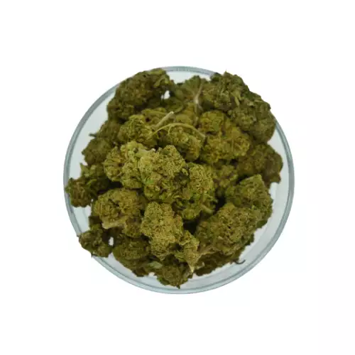 LEMON KUSH 100GR - 2€ / GR